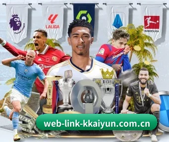 web-link-kkaiyun.com.cn APP
